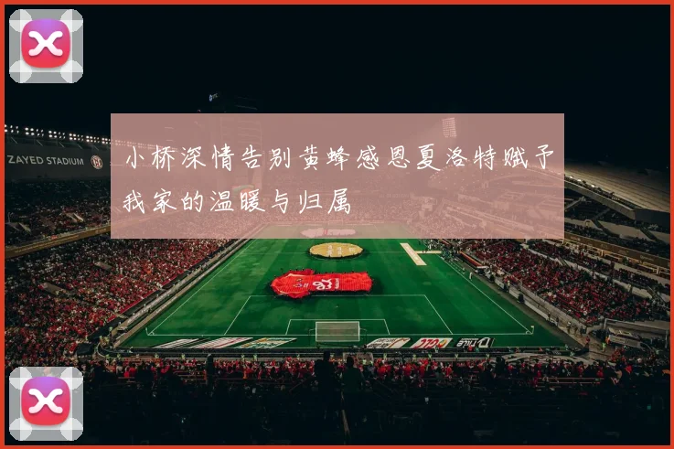 小桥深情告别黄蜂感恩夏洛特赋予我家的温暖与归属